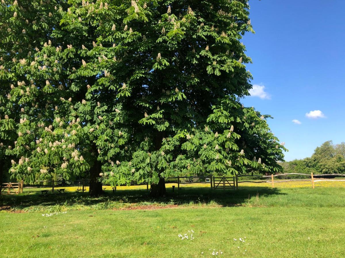 Ryefield Cottage - Luxurious Self-Catered Holiday Cottage With A Log Burner Chichester Exteriör bild