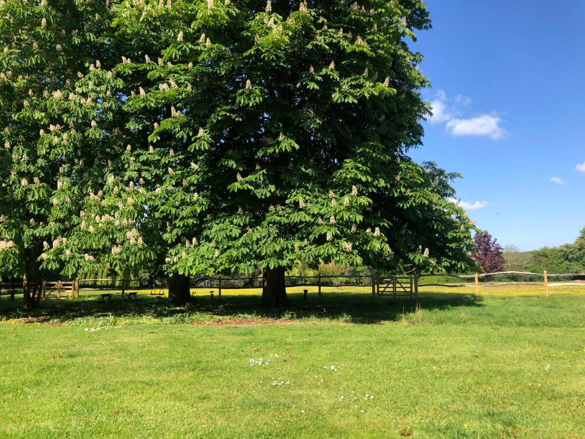 Ryefield Cottage - Luxurious Self-Catered Holiday Cottage With A Log Burner Chichester Exteriör bild