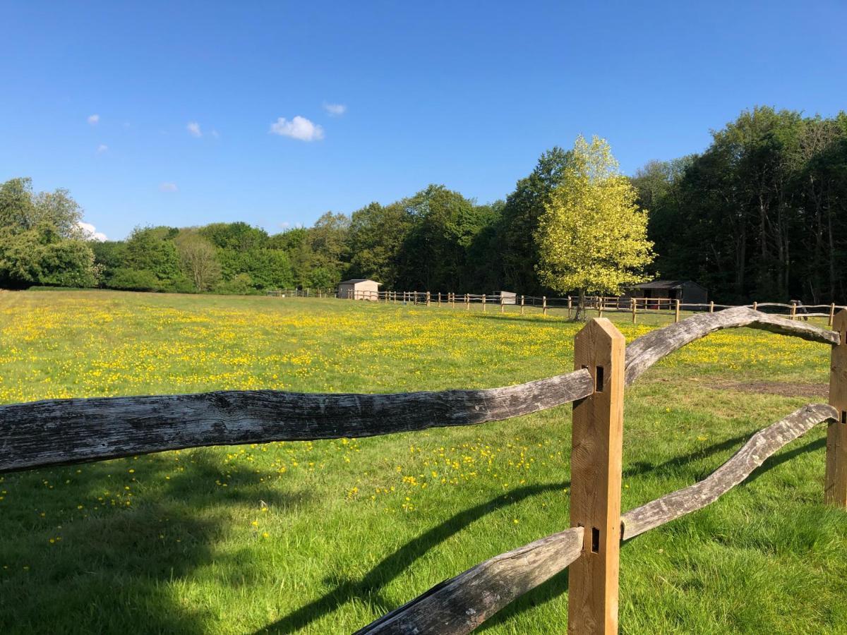 Ryefield Cottage - Luxurious Self-Catered Holiday Cottage With A Log Burner Chichester Exteriör bild