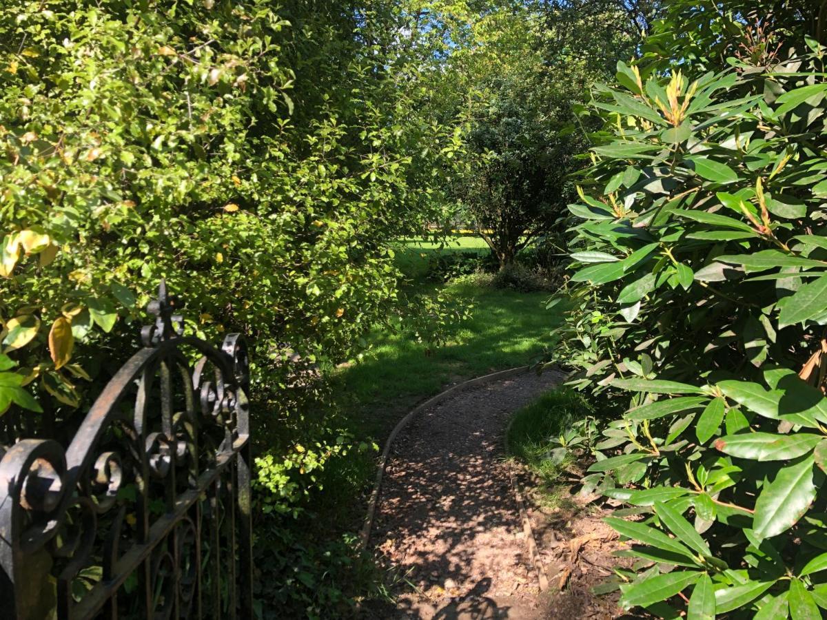 Ryefield Cottage - Luxurious Self-Catered Holiday Cottage With A Log Burner Chichester Exteriör bild